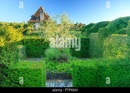 Orsan prieuré jardin, France : jardin clos avec olivier, lavanders, Ivy, haie avec ifs et de charme (mention obligatoire du nom et le jardin Banque D'Images