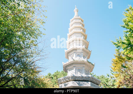 Tour en pierre avec des arbres verts à Haedong Yonggungsa Temple à Busan, Corée du Sud Banque D'Images