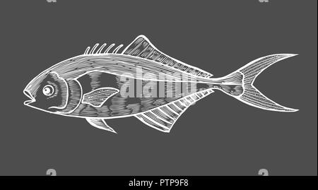 À l'encre de poissons. Hand drawn vector illustration sur fond noir. Style rétro. Illustration de Vecteur