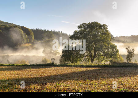 Morning Mist dans la basse vallée de la Wye. Banque D'Images