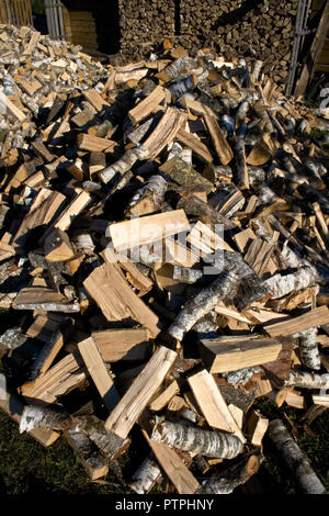 Pile et mur de bois de bouleau et bois de sciage empilées est prêt pour l'hiver, debout sur l'herbe Banque D'Images