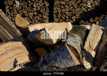 Pile et mur de bois de bouleau et bois de sciage empilées est prêt pour l'hiver, debout sur l'herbe Banque D'Images