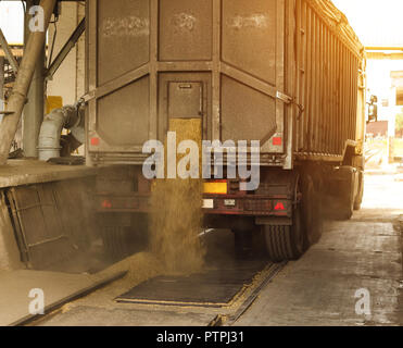 Un camion de déchargement du grain à grain d'une usine de traitement et de stockage, une installation de stockage de grain de maïs, de déchargement, d'une usine Banque D'Images