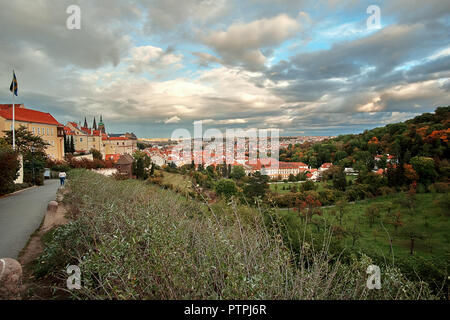 Vue de la vieille ville de Prague à partir d'une vigne sur une colline de Prague, République tchèque. À partir de la bas d'une colline à une vigne. La Cathédrale St Vitus et du château de Prague Banque D'Images