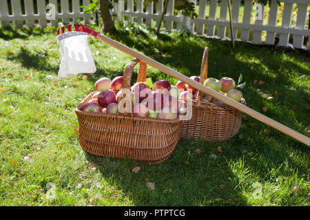 Paniers avec pommes et un frut pickers Banque D'Images