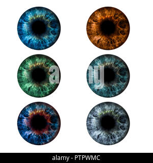 L'iris des yeux collage. Belle femme yeux de couleurs différentes. Banque D'Images