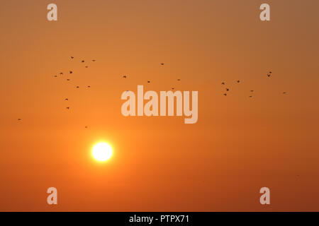 Sunrise de Rothwell Country Park, Leeds, West Yorkshire Banque D'Images