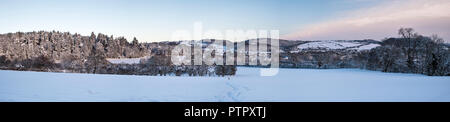 Presteigne, Powys, Wales, UK. Arbres couverts de neige et de champs en plein hiver Banque D'Images