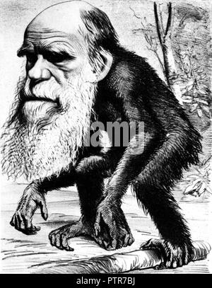 Charles Darwin comme un singe, 1871 caricature du magazine Hornet 'Un vénérable Orang-Utan sous-titré une contribution à l'histoire contre nature' Banque D'Images