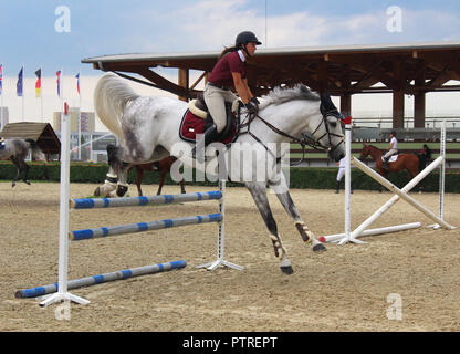 Formation de saut - femelle cavalier au cheval blanc sautant une barrière Banque D'Images