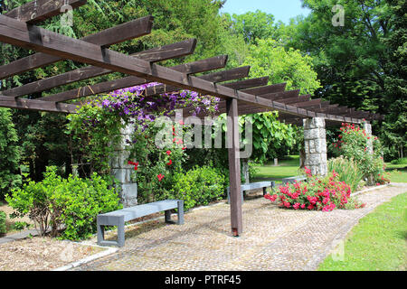 Beaux Parcs et jardins - roses et un treillis de plantes grimpantes Banque D'Images