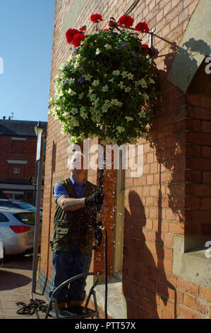 Stony Stratford, en Angleterre. 10 Oct, 2018. Stony dans Bloom Alan bénévoles fort donne aux fleurs leur dernier arrosage ville de l'année, à la place du marché à Stony Stratford. Cette année, la ville a gagné quatre prix de la Royal Horticultural Society's Britain in Bloom la concurrence, y compris un prix Or dans la catégorie des petites villes. Credit : Roger Bradbury/Alamy Live News. Banque D'Images