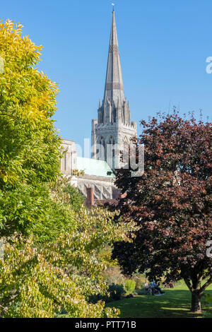 Chichester, West Sussex, UK. 10 octobre, 2018. De belles couleurs de saison d'automne sur les arbres dans le jardin de l'évêque dans le domaine de la cathédrale de Chichester, West Sussex. Le dépit de la célèbre monument historique bâtiment religieux perçant le ciel bleu sur une chaude journée d'automne Octobre et ensoleillé. Crédit : Steve Hawkins Photography/Alamy Live News Banque D'Images