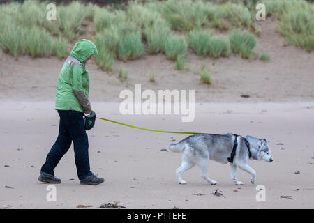 L'eau douce, Pembrokeshire, Pays de Galles, 11h d'octobre 2018. Météo France : mauvais temps humide commence à faire pour les vagues des tempêtes avec Callum pour un week-end de tempête à venir. Pembrokeshire, Pays de Galles. Un chien solitaire walker avec elle sa tête husky vers le bas dans le temps humide et venteux sur le rivage à l'est d'eau douce, DGDImages AlamyNews / ©Pembrokeshire Banque D'Images