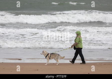 L'eau douce, Pembrokeshire, Pays de Galles, 11h d'octobre 2018. Météo France : mauvais temps humide commence à faire pour les vagues des tempêtes avec Callum pour un week-end de tempête à venir. Pembrokeshire, Pays de Galles. Un chien solitaire walker avec son husky bravant le mouillé et venteux sur le rivage à l'est d'eau douce, DGDImages AlamyNews / ©Pembrokeshire Banque D'Images