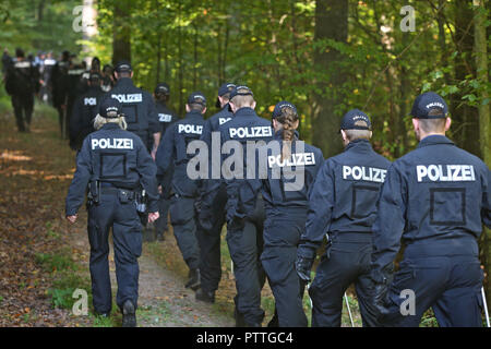 Burgsinn, Bavière. 11Th Oct, 2018. Une centaine de policiers sont à pied à travers une forêt. Dans le cadre de la disparition d'un quatre-temps mère il y a 13 ans, la police a fouillé une zone forestière en Basse-franconie, jeudi matin. Credit : Karl-Josef Opim/dpa/Alamy Live News Banque D'Images