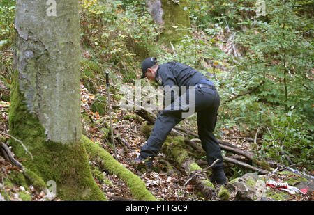 Burgsinn, Bavière. 11Th Oct, 2018. Un agent de police est à la recherche d'un morceau de bois. Dans le cadre de la disparition d'un quatre-temps mère il y a 13 ans, la police a fouillé une zone forestière en Basse-franconie, jeudi matin. Credit : Karl-Josef Opim/dpa/Alamy Live News Banque D'Images