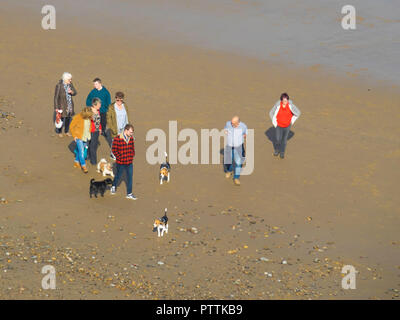 Un groupe de personnes qui promènent leurs chiens sur la plage sur une journée ensoleillée d'automne dans le Yorkshire du Nord Banque D'Images