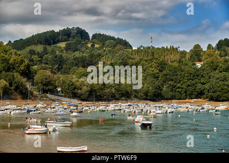 Isla de Chacharramendi, réserve de la biosphère d'Urdaibai, Gascogne, Pays basque, Euskadi, Euskal Herria, Espagne, Europe Banque D'Images