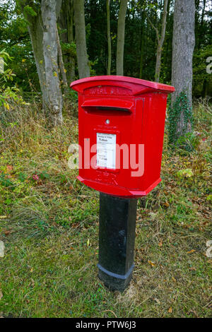 Postbox Anglais rouge sur l'après dans le bois, campagne, Catterick, North Yorkshire, UK Banque D'Images