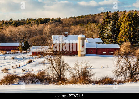 Ferme Goshen, Connecticut, USA Banque D'Images