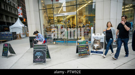 Des tableaux noirs et des multiples signes du sandwich pour attirer les clients l'ouverture récente de PetSmart stocker dans le quartier Flatiron de New York le Samedi, Octobre 6, 2018. Une enquête menée par NJ Avance Media communiqués la mort de 47 animaux domestiques après le toilettage des visites de PetSmart endroits avec au moins trois propriétaires costume dépôt annonce d'autres villes avec des accords de non-divulgation. (© Richard B. Levine) Banque D'Images