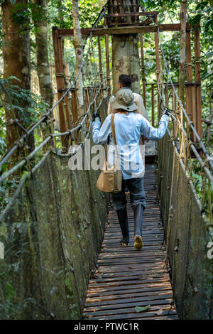 Parc national de l'Amazonie, le Pérou, Amérique du Sud. Balades touristiques et guide touristique sur une passerelle en bois canopy walk. (Pour un usage éditorial uniquement) Banque D'Images