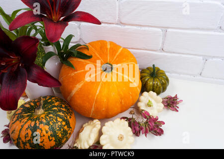 Arrangement d'automne avec des fleurs rouge orangé, squash et citrouilles orange sur le fond blanc Banque D'Images