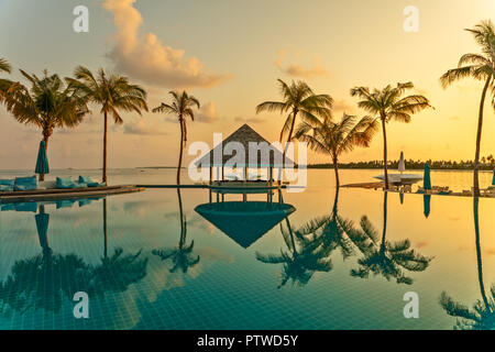 Café Bar et piscine sur une plage tropicale, entouré de palmiers tôt le matin - Voyage d'arrière-plan Banque D'Images