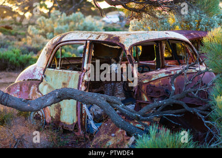 Cimetière d'épaves de voiture et voiture rouillée à Koonalda Eyre Highway Old Homestead, Parc National de Nullarbor Australie du Sud Banque D'Images