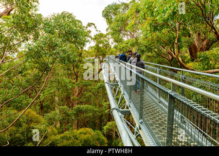 Le sentier de randonnée dans la Vallée des Géants Tree Top Walk, le Danemark, le Parc National de Walpole-Nornalup, côte sud, WA, Australie de l'Ouest, Austra Banque D'Images