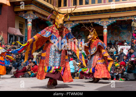 Masque de danse festival bouddhiste au monastère de Mâtho au Ladakh, Inde. Moines des danses à enseigner aux gens sur le bouddhisme et la vie Banque D'Images