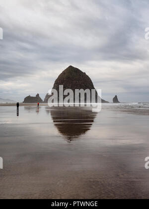 Haystack Rock reflète dans la marée piscines de Cannon Beach Oregon à marée basse extrême sur un matin nuageux. Banque D'Images