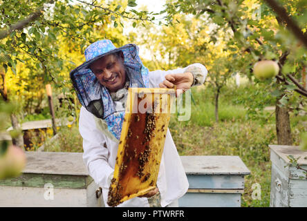 Apiculteur mâle dans une tenue de protection spéciale et un chapeau avec un cadre pour les abeilles sur l'arrière-plan d'un rucher et d'un jardin Banque D'Images