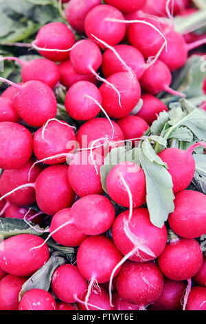 L'un des (9) images relatives à divers légumes en vente sur les stands du marché de Munich. Vue voici les radis/Radieschen. Banque D'Images