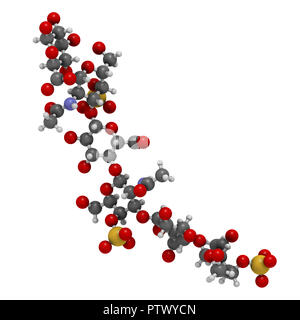 La chondroïtine sulfate (court fragment). Composante importante du cartilage. Utilisé comme complément alimentaire dans le traitement de l'arthrose. Le rendu 3D. Banque D'Images