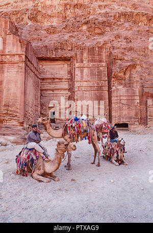 PETRA, JORDANIE - 15 juin 2018 : Quatre chameaux et leurs chauffeurs attendent pour des tours en face d'une des anciennes tombes de Petra qui sont taillées dans le roc Banque D'Images