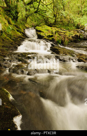 La rivière Ceunant Ty'n y Ddol dans la vallée Lledr près de pont romain au coeur du Parc National de Snowdonia dans le Nord du Pays de Galles Banque D'Images