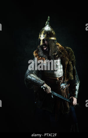 Viking : Portrait d'un guerrier médiéval Banque D'Images