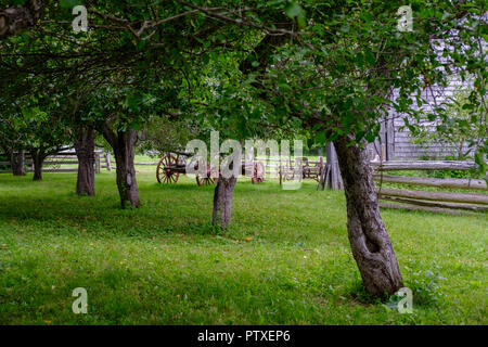 Verger dans le jardin de règlement du patrimoine Kings Landing, New Brunswick, Canada Banque D'Images