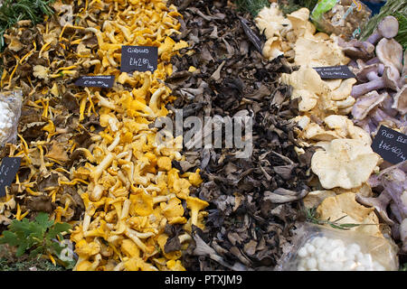 Affichage d'un assortiment de champignons sur un étal du marché de Londres Banque D'Images