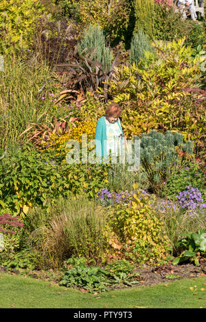 Dame plus âgée ou vieille femme se promenant dans un magnifique jardin à l'automne. Banque D'Images