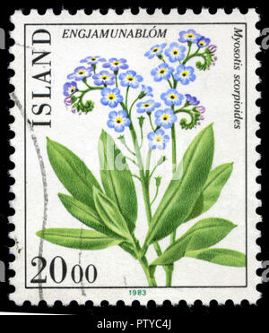 Timbre cachet de l'Islande, à la série fleurs paru en 1983 Banque D'Images