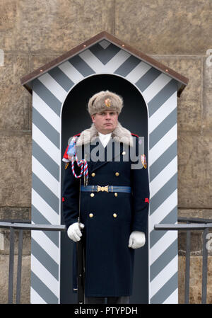 Sentry guard des forces armées de la République tchèque au Château de Prague - Pražský hrad Prague, République tchèque. Banque D'Images