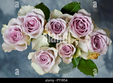 Un bouquet de belles roses roses Banque D'Images