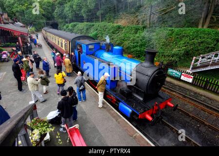 Le Lakeside & Haverthwaite que fer, Lake District, Cumbria, England, UK Banque D'Images