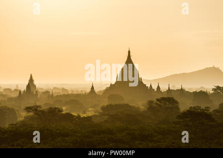 Old Bagan temples et pagodes au lever du soleil au Myanmar Banque D'Images