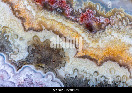 Crazy Lace Agate Banque D'Images