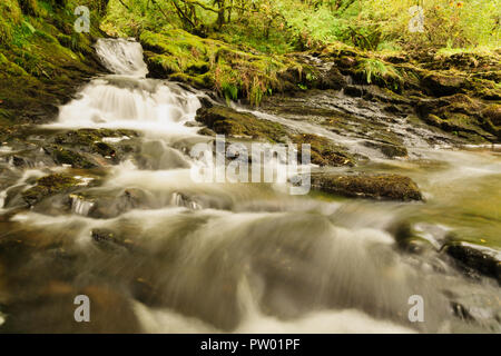 La rivière Ceunant Ty'n y Ddol dans la vallée Lledr près de pont romain au coeur du Parc National de Snowdonia dans le Nord du Pays de Galles Banque D'Images