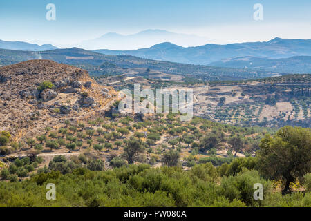 La plantation d'oliviers dans les montagnes, l'île de Crète, Grèce Banque D'Images